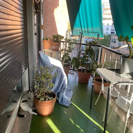 Joanne Trastevere Πανσιόν